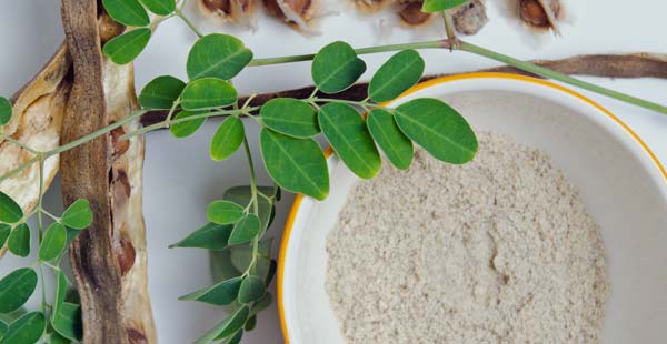 Le proprietà della Moringa